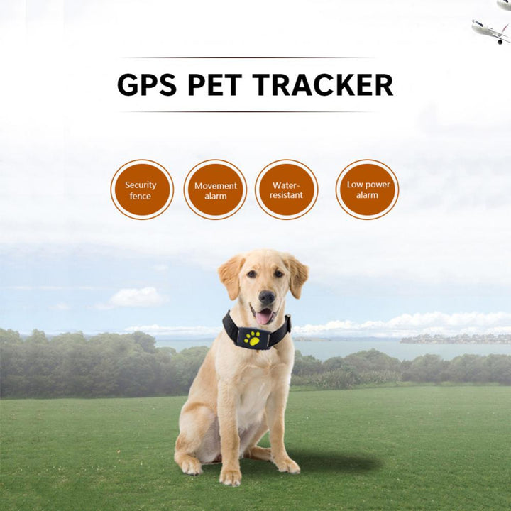 Pet GPS  Pet Tracker Collar