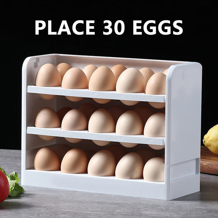 Egg-tastic  3 Tier Organizer  Storage Box