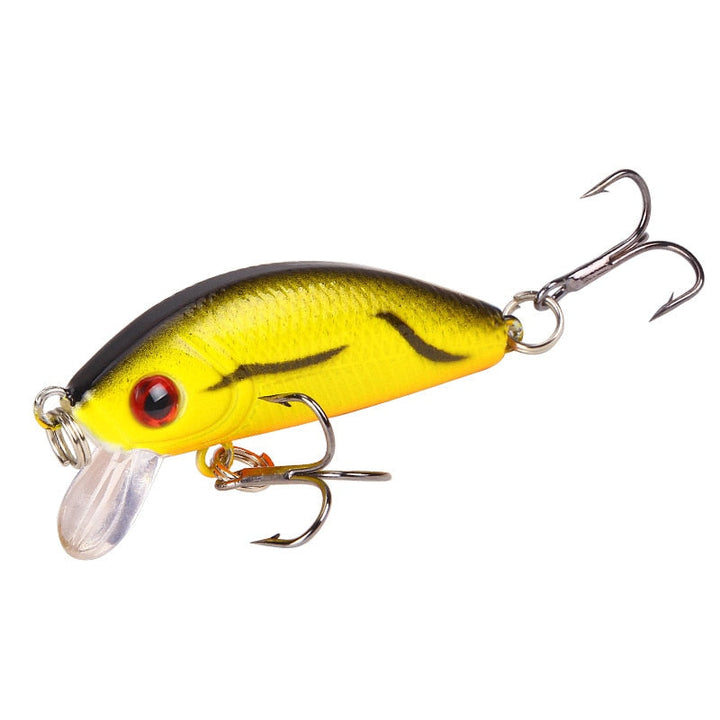 3-D Eye Minnow Fishing Lure