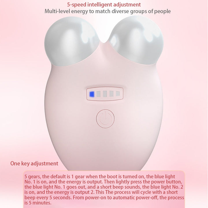 Micro Current Facial Toning Massaging Beauty Device