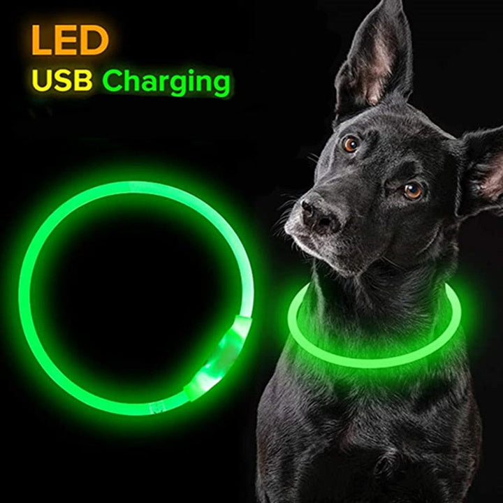 LED Waterproof Glow in Dark Dog Collars