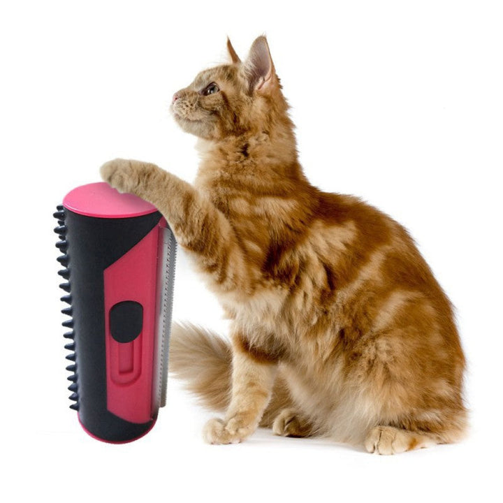 Fur Sweep Pet Hair Remover Brush