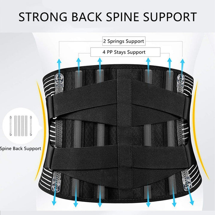 Exercise Back Support Belt