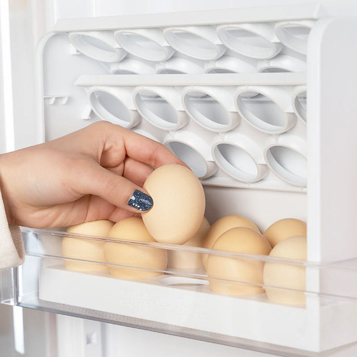 Egg-tastic  3 Tier Organizer  Storage Box